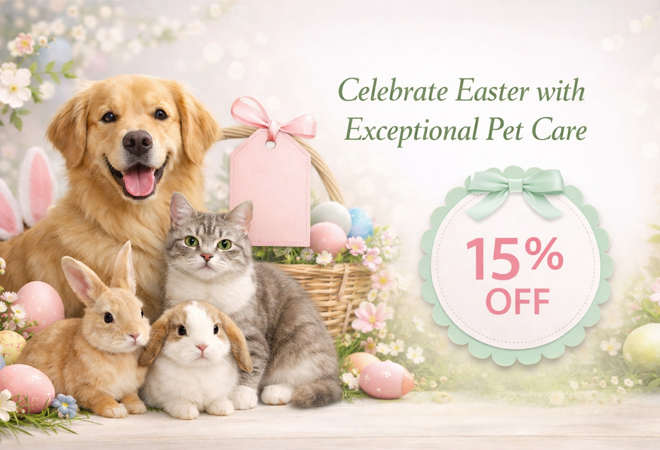 April Promotion 2026 Animal Hospital Hollywood