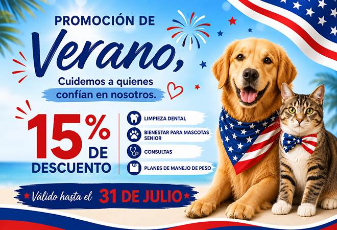 Promoción Julio 2026 Animal Hospital Hollywood