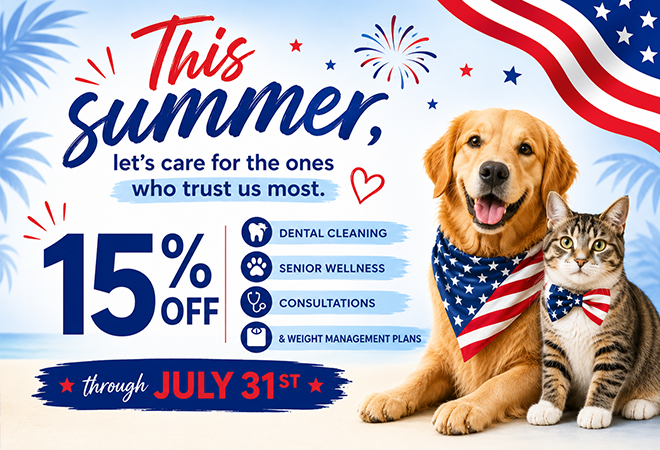 July Promotion 2026 Animal Hospital Hollywood