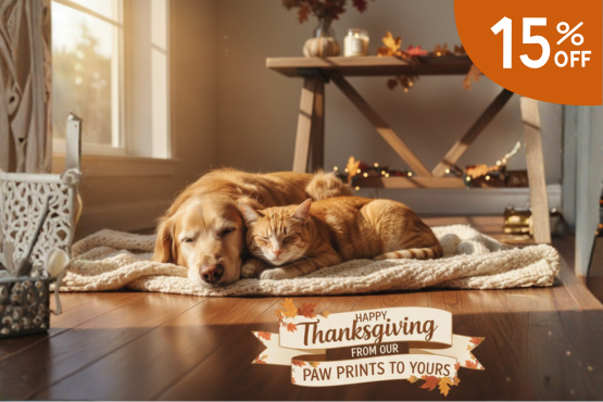 November Promotion 2025 Animal Hospital Hollywood