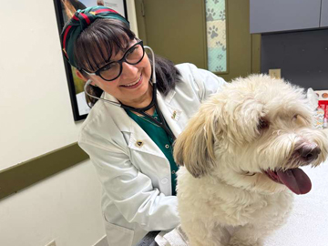 Preventive Medicine Microchip