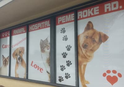 Clínica Animal Hospital of Pembroke Road 